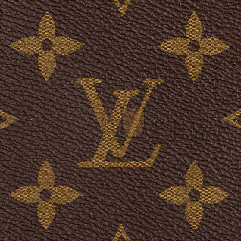 LOUIS VUITTON MASTER MULTI POCHETTE ACCESSOIRES M44813 (24*13.5*4cm)
